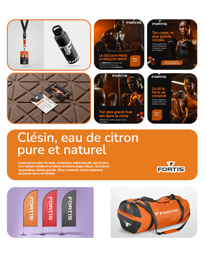Identité visuelle Fortis